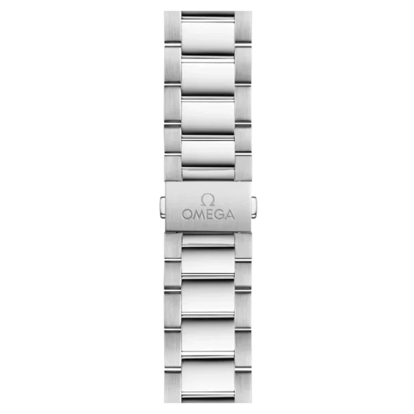 Omega Seamaster Aqua Terra 220.10.41.21.06.001