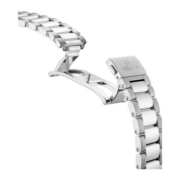 Omega Seamaster Aqua Terra 220.10.41.21.06.001