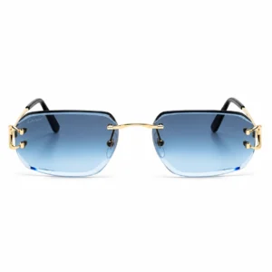 Lentes Cartier CT0468S002